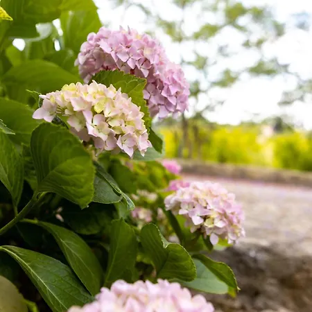 Villa Quinta O Refugio *