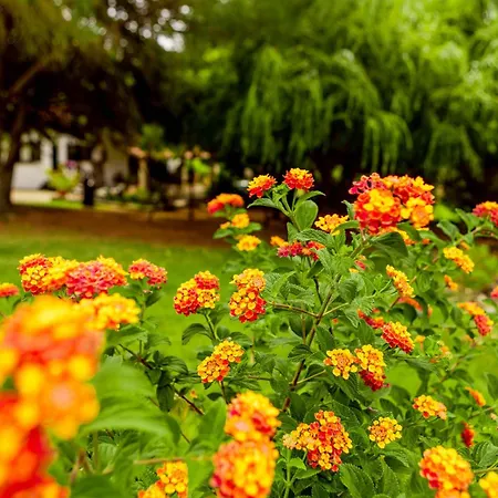 Quinta O Refugio Villa Azambuja