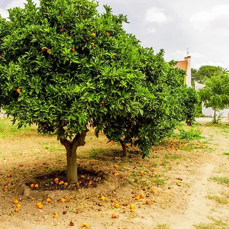 וילה Quinta O Refugio