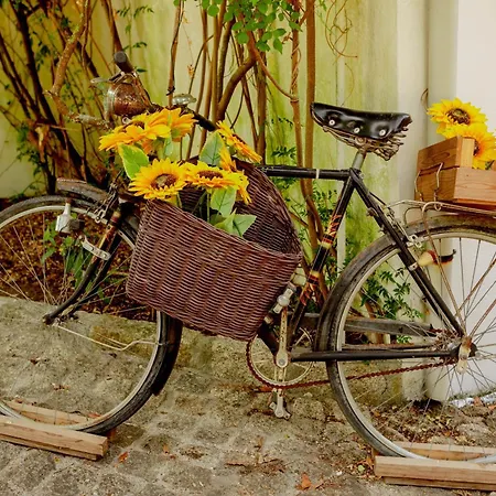 Quinta O Refugio אזמבוז'ה