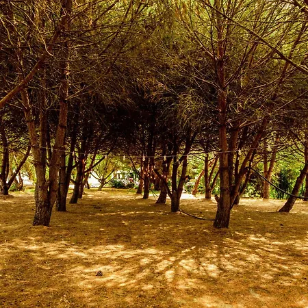 Βίλα Quinta O Refugio