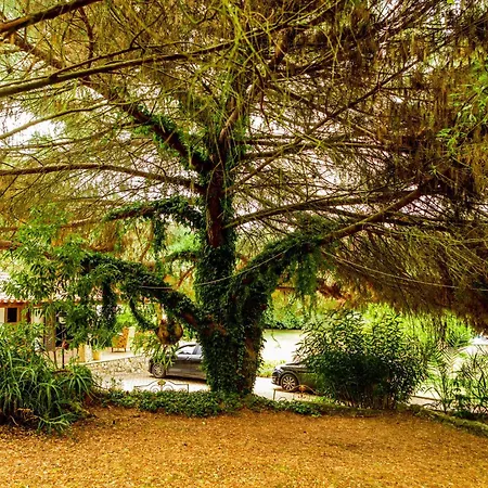 Βίλα Quinta O Refugio *