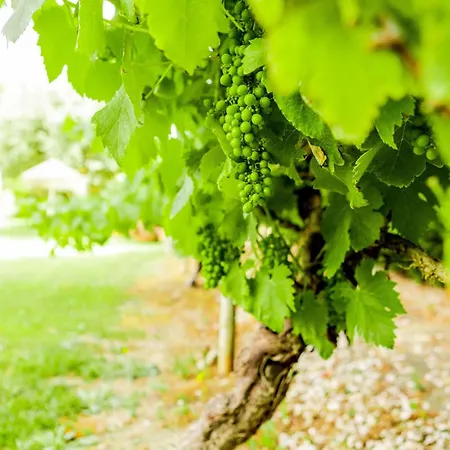 Quinta O Refugio Villa