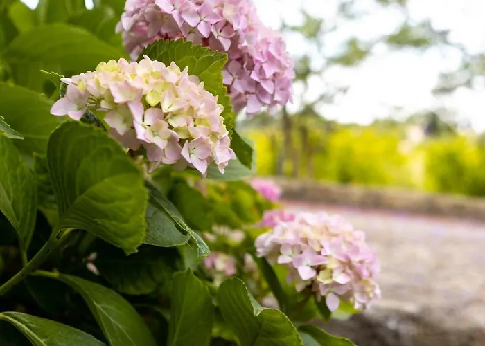 Villa Quinta O Refugio *