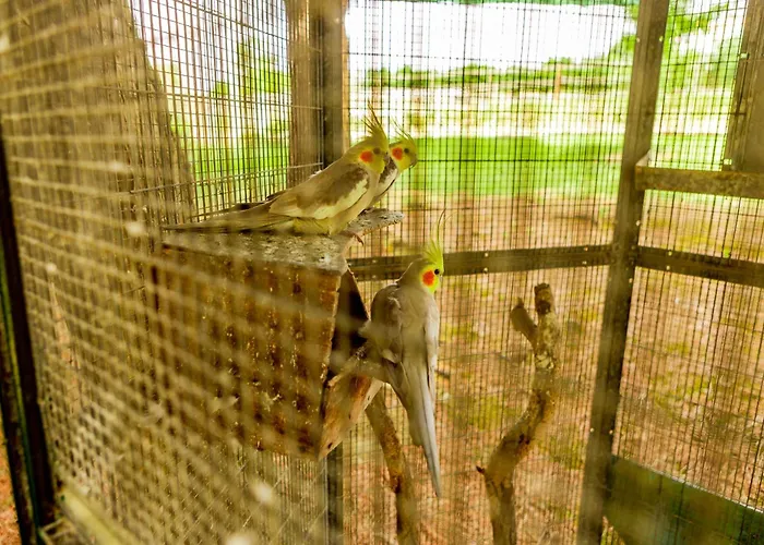 Quinta O Refugio Azambuja