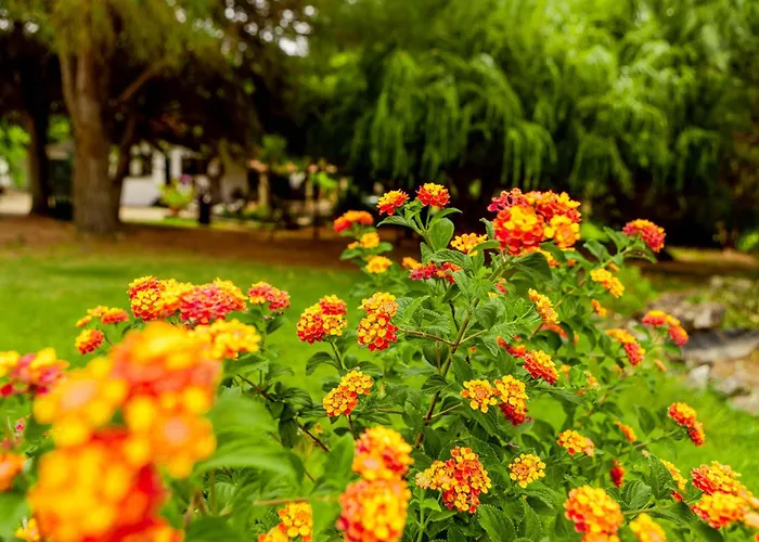 Quinta O Refugio Villa Azambuja