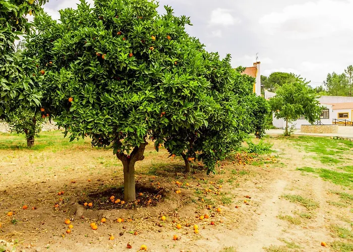 Villa Quinta O Refugio