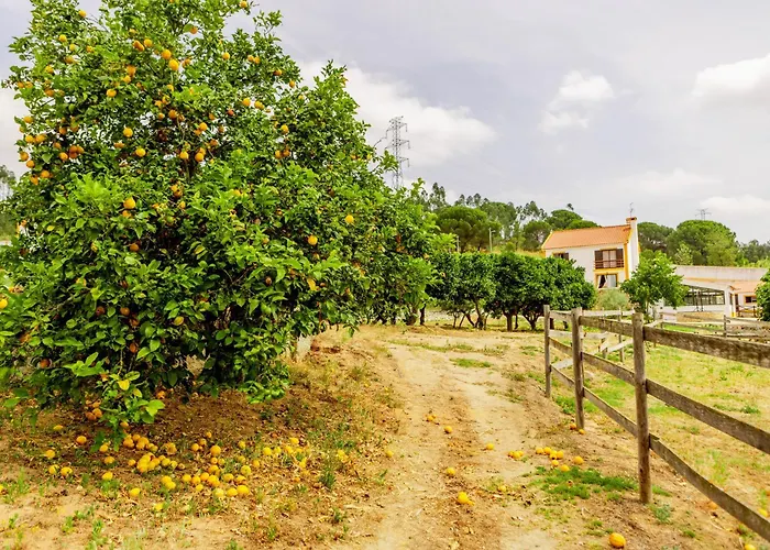 Villa Quinta O Refugio Azambuja