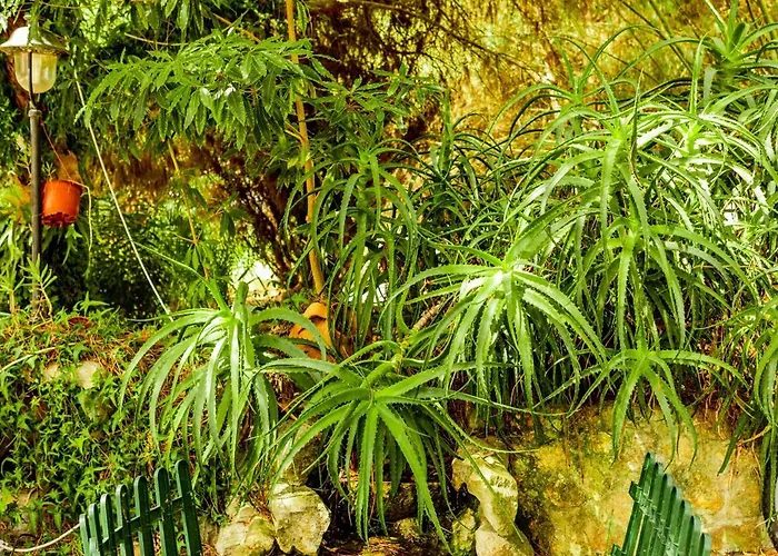 Villa Quinta O Refugio Azambuja