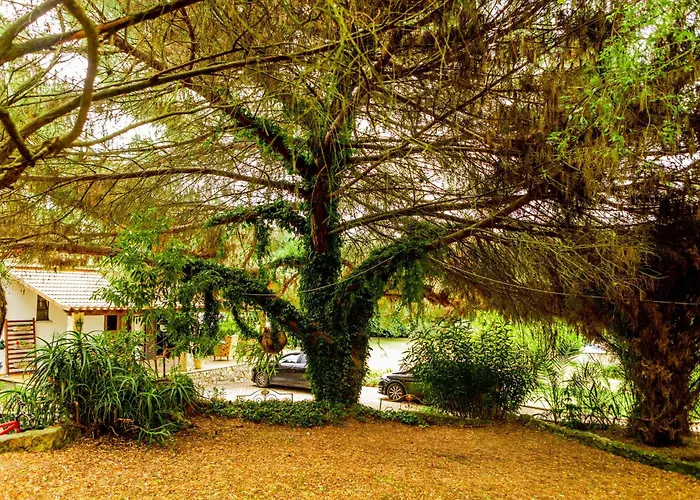 Βίλα Quinta O Refugio *