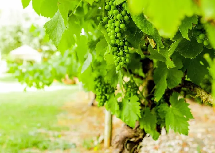 Quinta O Refugio Villa